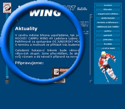 www.wing49.cz